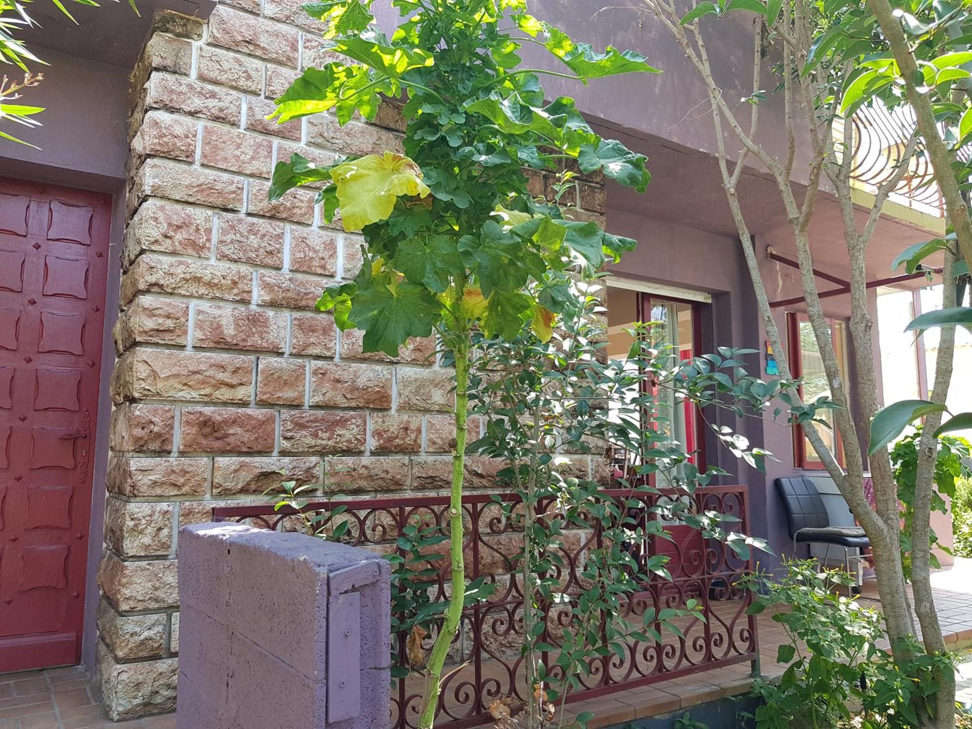 Chambres Privees Maison Jardin Toutes Commodites Partagees Valras-Plage Exterior photo